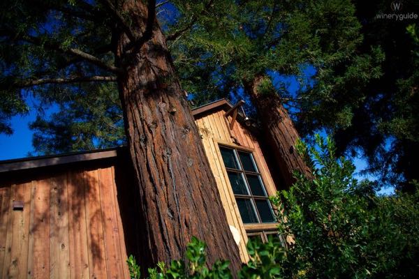 Sequoia Grove Winery