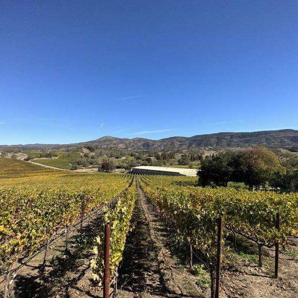 Shadybrook Estate Winery