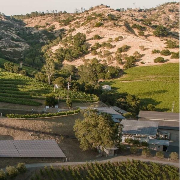Shafer Vineyards