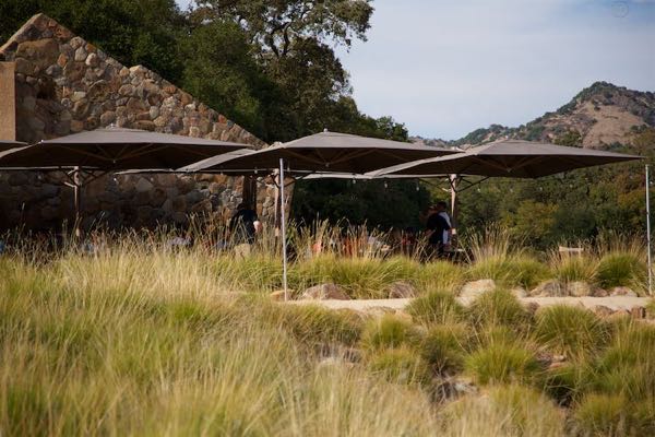 Stag's Leap Wine Cellars