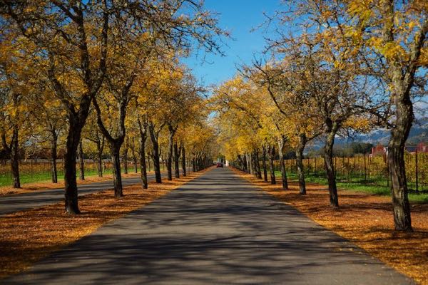 Sterling Vineyards