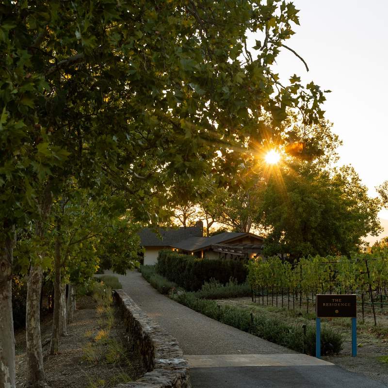 Stony Hill Vineyard, St. Helena, Napa Valley