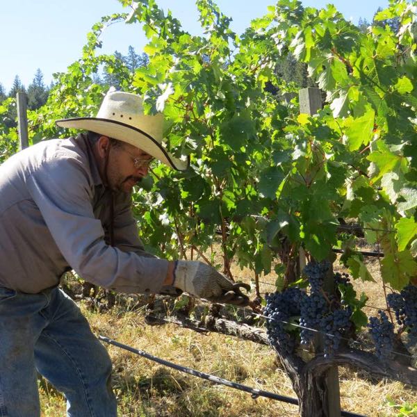 Storybook Mountain Vineyards