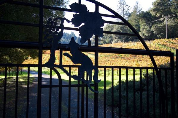 Storybook Mountain Vineyards