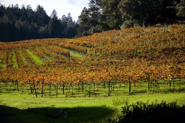 Storybook Mountain Vineyards