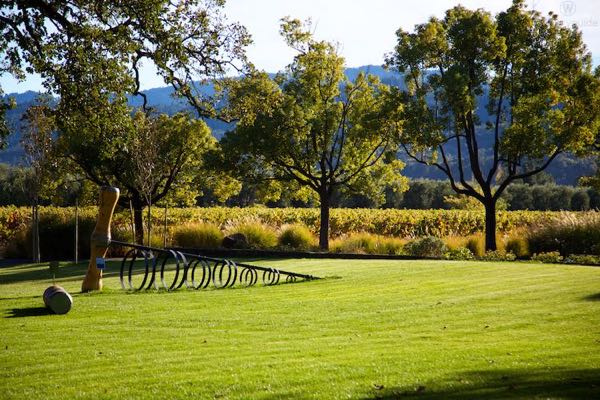 St. Supery Estate Vineyards & Winery