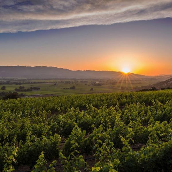 Summers Estate Wines