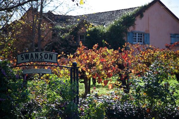 Swanson Vineyards