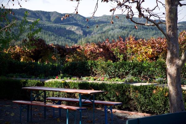 Swanson Vineyards