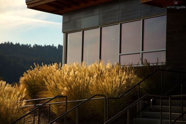 Titus Vineyards