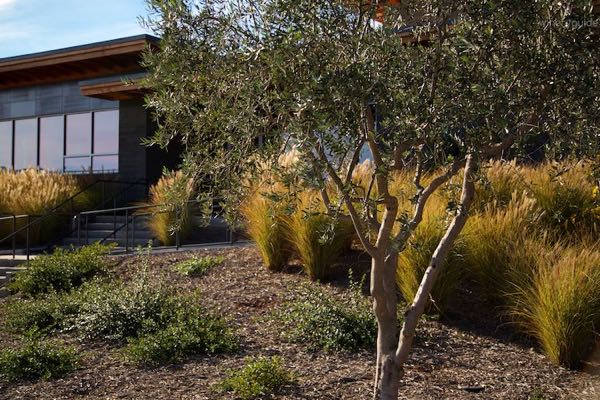 Titus Vineyards