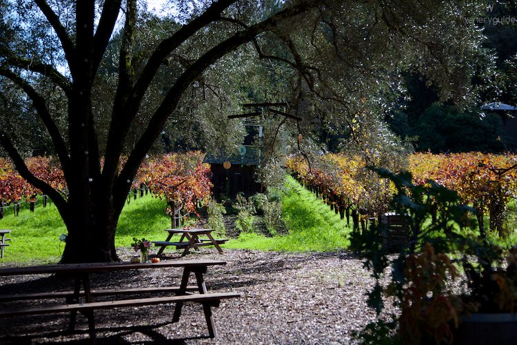 Tres Sabores, St. Helena, Napa Valley