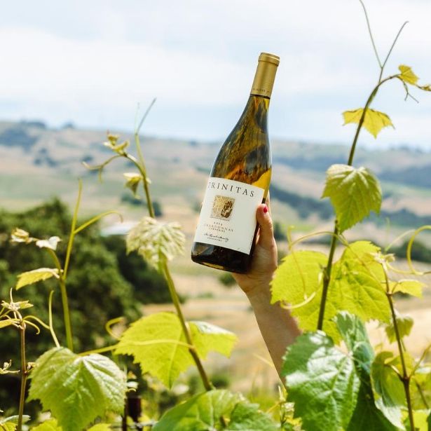 Trinitas Cellars at Meritage Resort and Spa