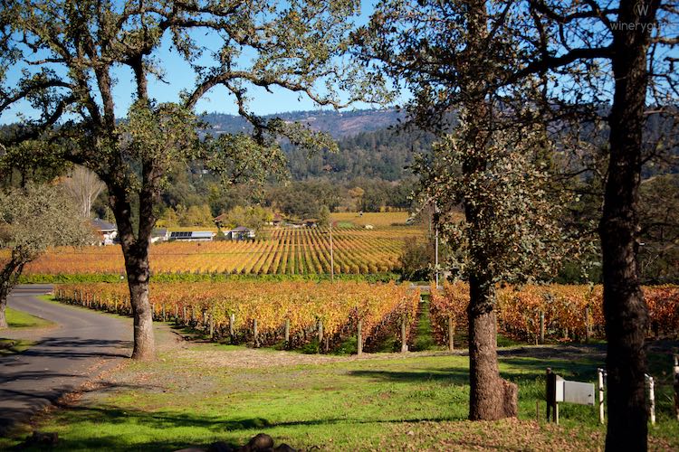 Vineyard 29, St. Helena, Napa Valley
