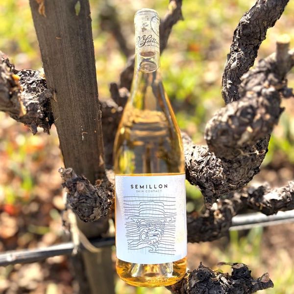 V. Sattui Winery