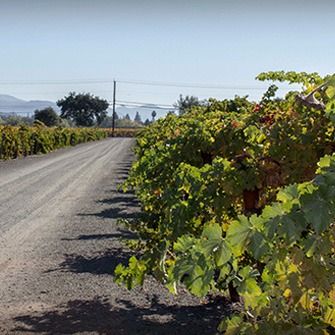 Varozza Vineyards