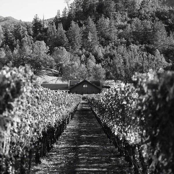 Venge Vineyards
