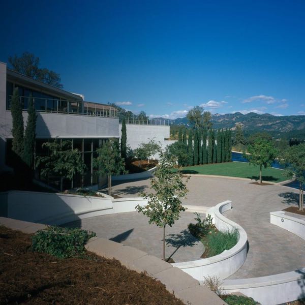 Vineyard 29
