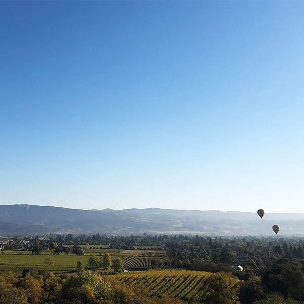 Vintner's Collective