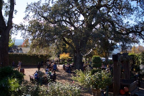 V. Sattui Winery