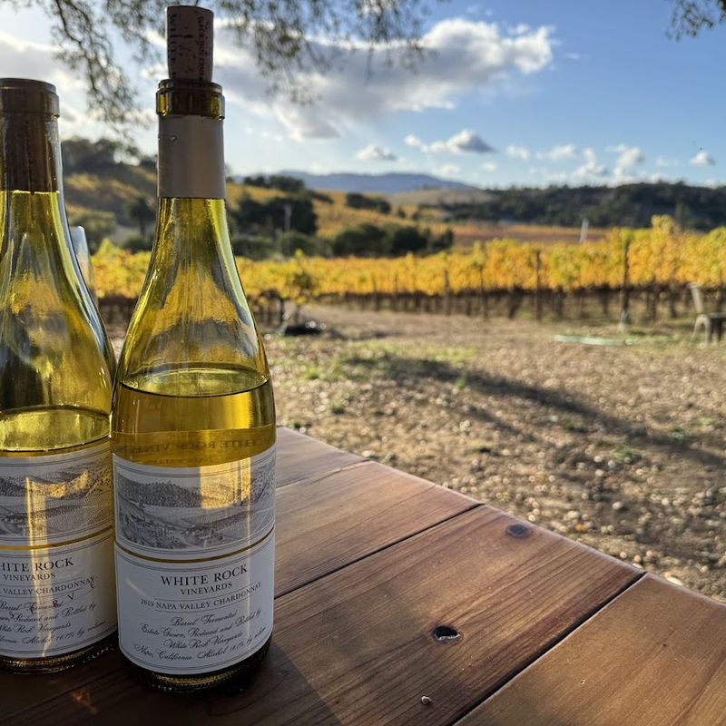 White Rock Vineyards, Oak Knoll District, Napa Valley