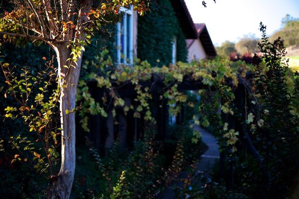ZD Wines